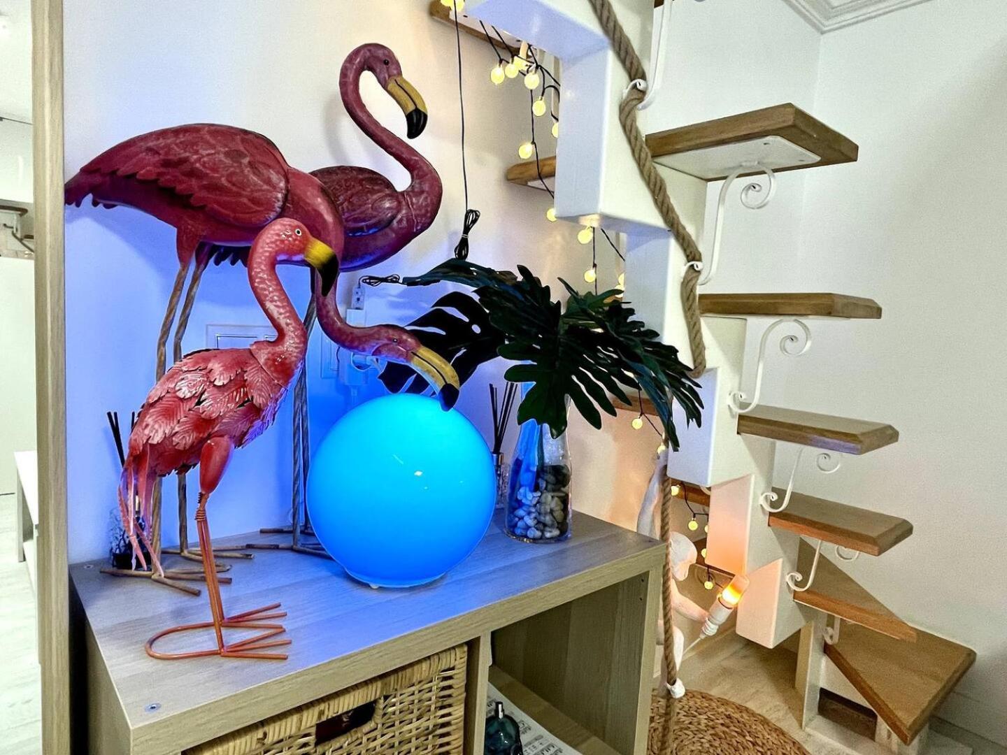 Los Flamencos, Malasana Loft Madrid 45Mq Eksteriør billede