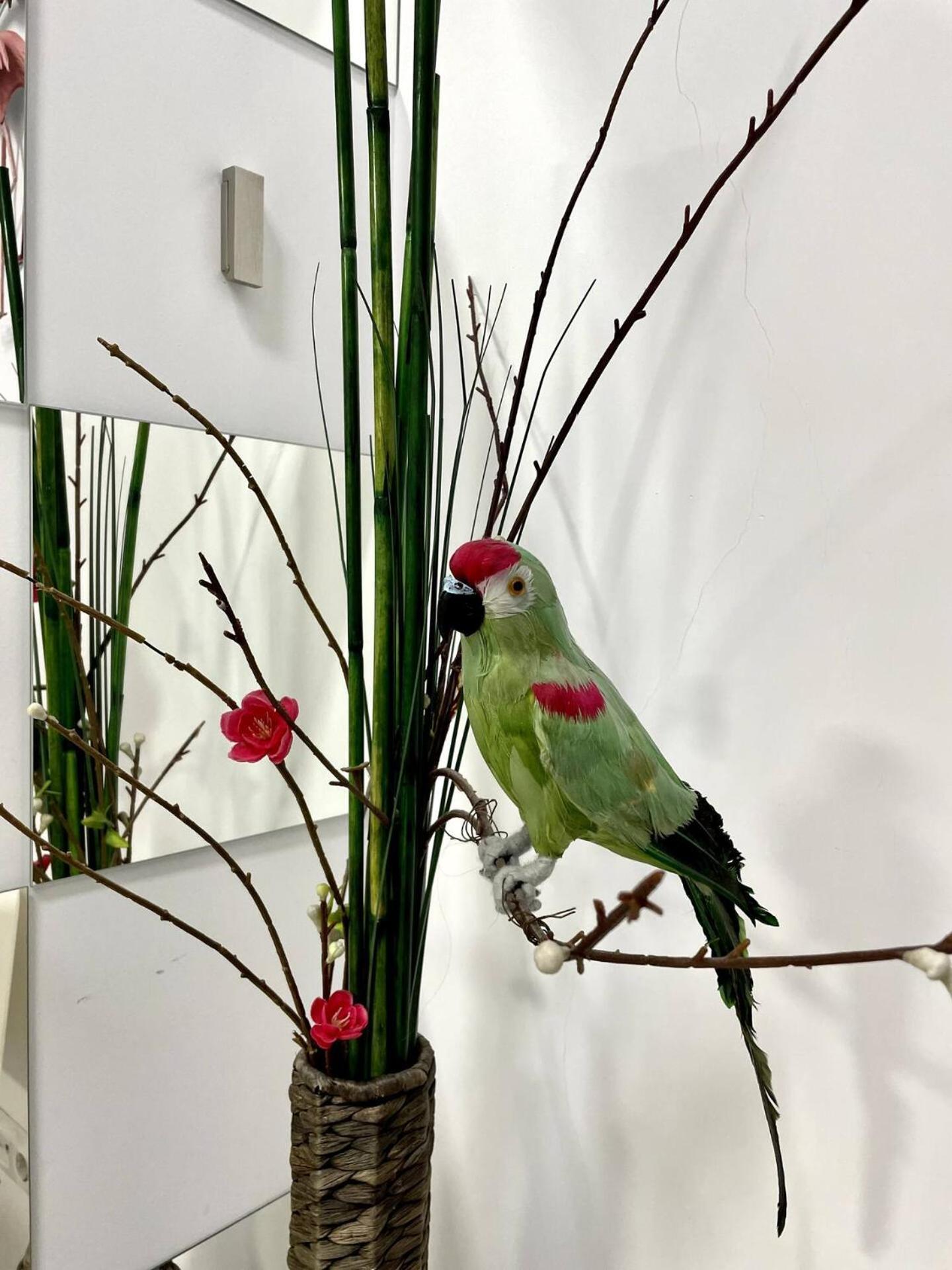 Los Flamencos, Malasana Loft Madrid 45Mq Eksteriør billede